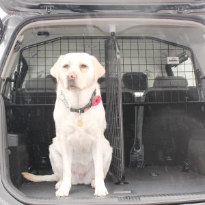 VW TOURAN (2015 ONWARDS) DOG GUARD AND BOOT DIVIDER BUNDLE (G1438B*)