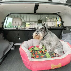 KIA SPORTAGE (QL) NO SUNROOF (2016-2022) DOG GUARD (G1453NSR)