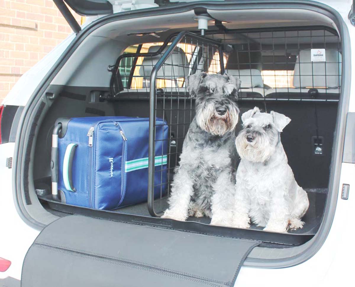 Guardsman - Tesla Model Y – Grille de Séparation pour Chien et Grille de  Division Adaptable