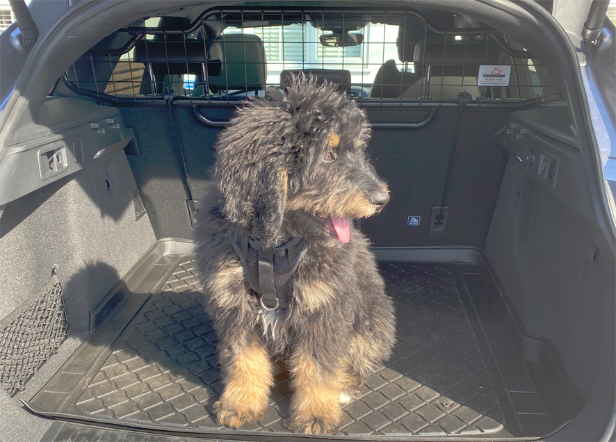 Jaguar f pace dog guard online