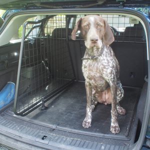 Skoda Kodiaq #1  -  5 Sitzplätze Nur - Verstellbarer Kofferraumteiler (G1473DLF*)