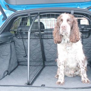 AUDI Q3 (2019 onwards) DOG GUARD AND DIVIDER BUNDLE (G1540B*)