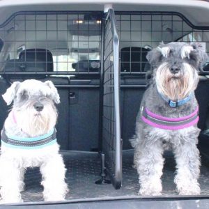 TIGUAN ALLSPACE (ab bj. 2016) Hundegitter und Trenngitter (G1539B)