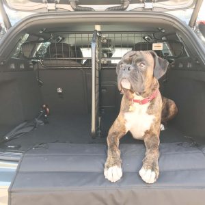 VOLVO V60 #2 (à partir de 2018) Grille de Séparation pour Chien et Grille de division adaptable - (G1543B)