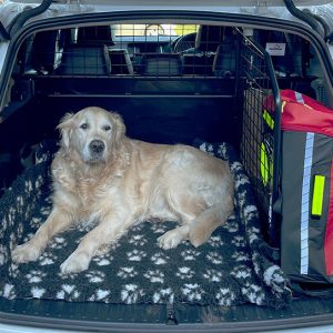 BMW X3 #3 (G01) (2018-2024) / iX3 (G08) (2021-2024) Dog Guard and Boot Divider (G1544B*)
