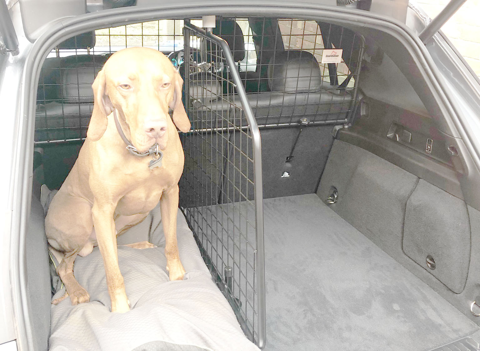 Mercedes gle dog clearance guard