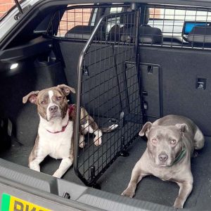 VOLKSWAGEN ID.4 SET (Teile Nr. G1607B*)