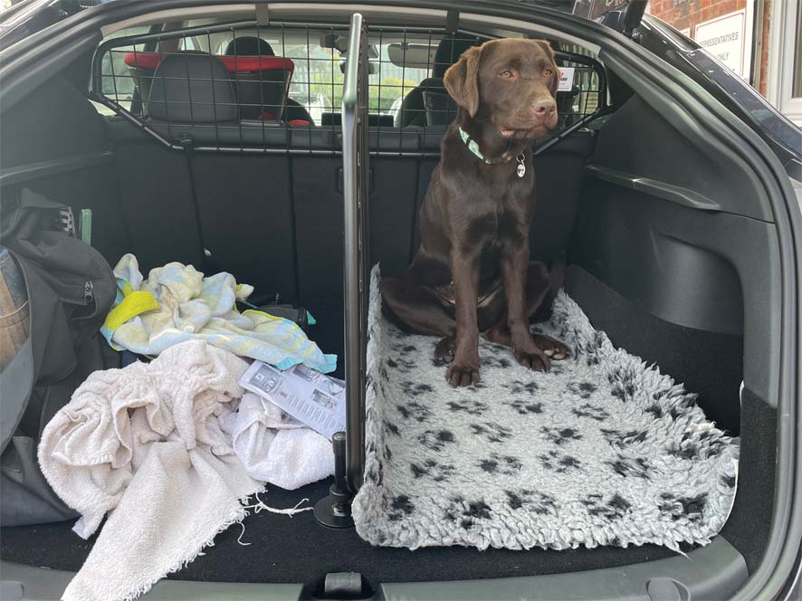 Guardsman - Tesla Model Y Hundegitter und trenngitter Bündle (Teile Nr.  G1622B)