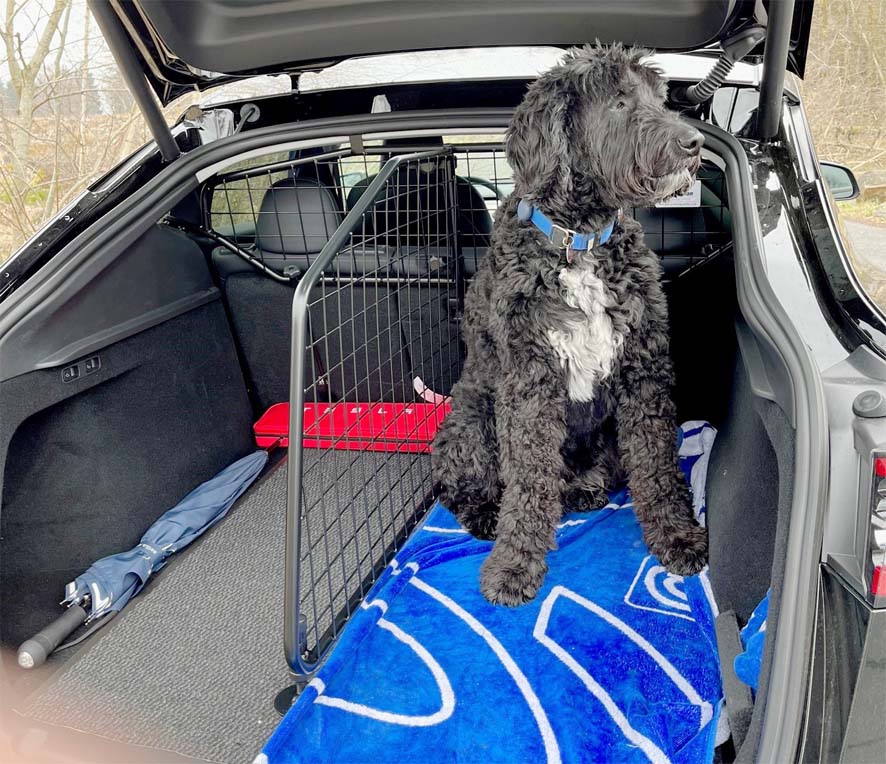 Guardsman - Tesla Model Y – Grille de Séparation pour Chien et