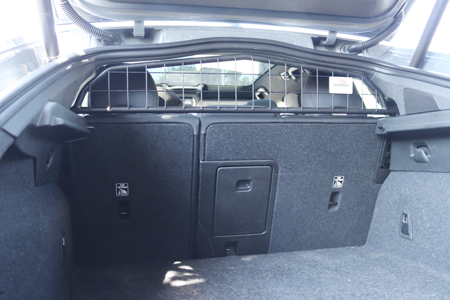 Polestar 2 dog discount