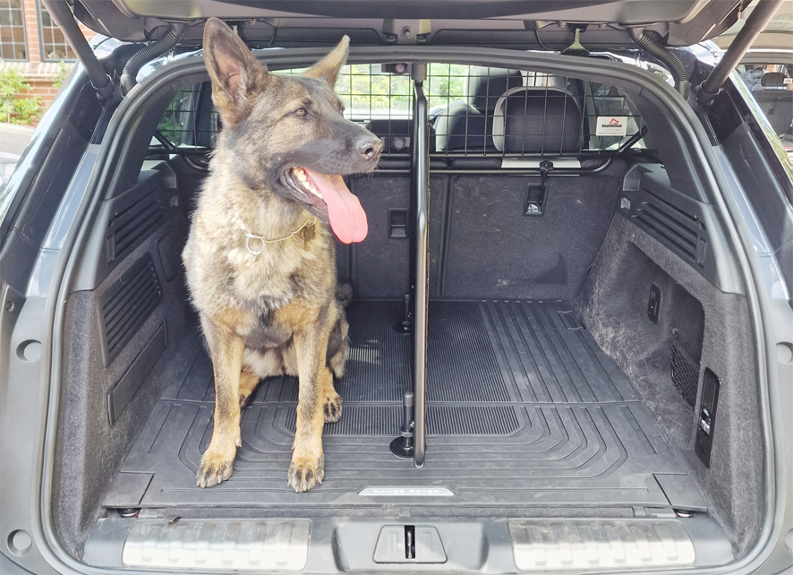 Dog deals boot separator