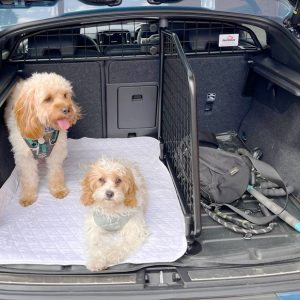 VOLVO C40 Recharge / EC40 Hundegitter Und Trenngitter SET - (Teile Nr.G1658B)