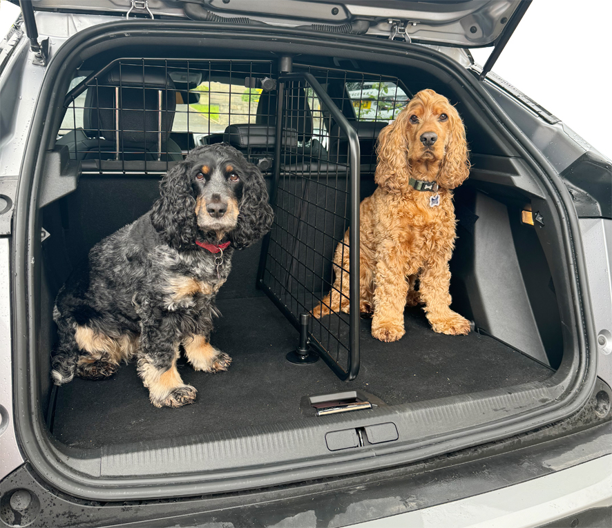 Peugeot 2008 dog crate online