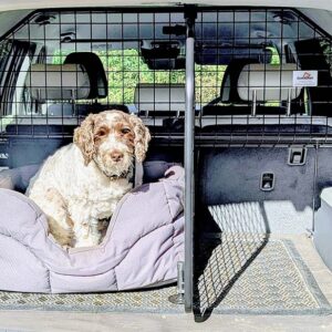 Hyundai Santa Fe Grille de Séparation pour Chien et Grille de division adaptable (G1737B*)