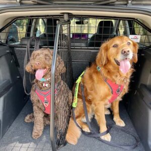 SKODA ELROQ Hundegitter und Kofferraumteiler BÜNDEL (Teil Nr. G1739B*)