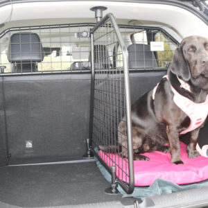 MG ZS #2 (2024 onwards) Dog Guard and Boot Divider - (Part No. G1733B*)