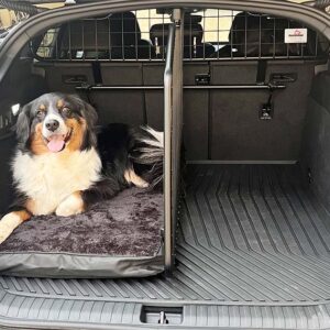 Audi A6 Avant e-tron Dog Guard and Variable Boot Divider Bundle (part no. G1752B)