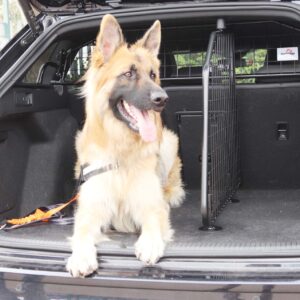 VW GOLF ESTATE #8 DOG GUARD AND BOOT DIVIDER (G1761B)