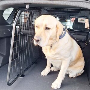 DACIA BIGSTER Dog Guard and Boot Divider - 2025 ONWARDS (Part No. G1763B)